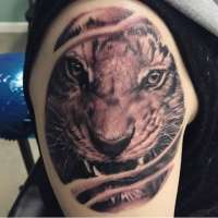 olio realistic tattoo by victron tattoo from blue rose tattoo olio realistic tattoo by victron tattoo from blue rose tattoo
